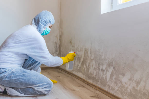 Mold Remediation specialist working in Toughkenamon