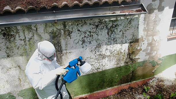 Mold Remediation service in Toughkenamon, Toughkenamon, PA